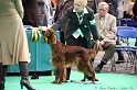 Crufts2011 497